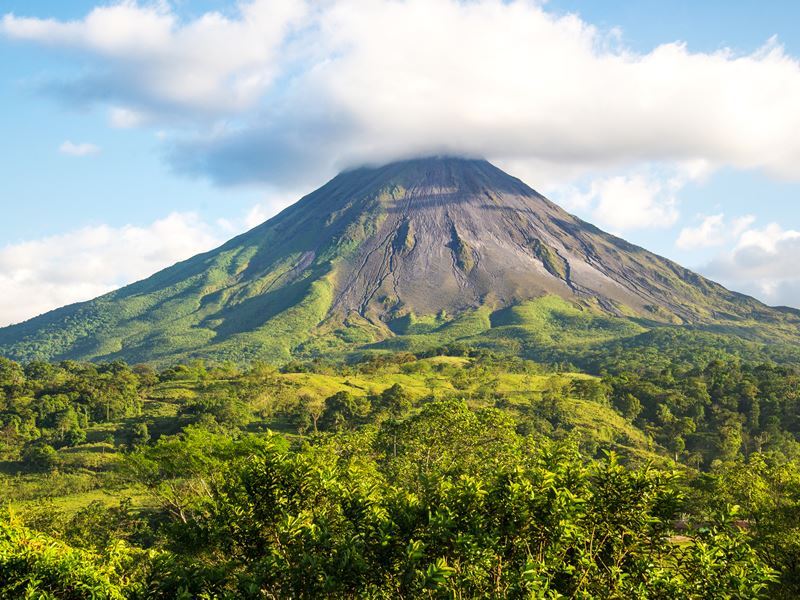 How Altitude Shapes Costa Rican Coffee Flavour